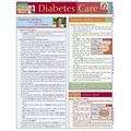 Diabetes Care- Laminated 3-Panel Info Guide